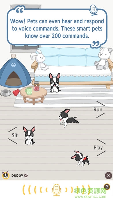 Hellopet v2.8.10 安卓版2