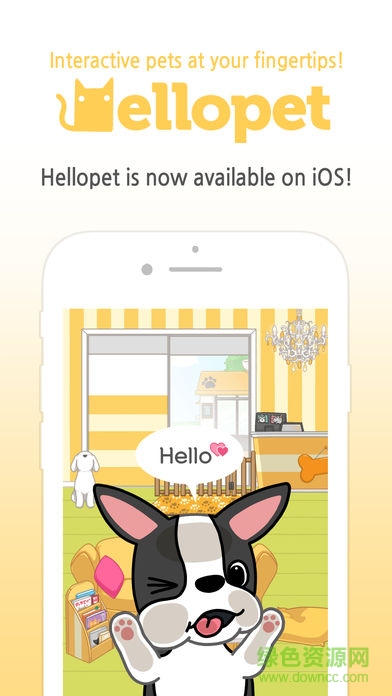 Hellopet v2.8.10 安卓版3