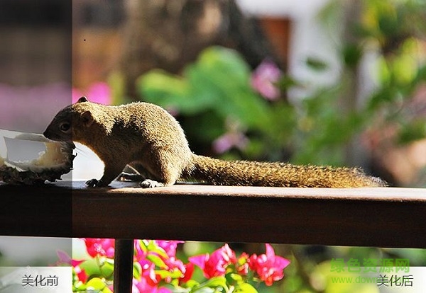 联想照片大师免费冲印版 联想照片大师