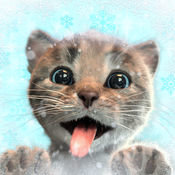 小猫大冒险苹果版