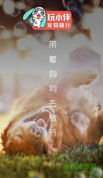 玩小伴宠物(带着宠物旅行) v4.3.2 安卓版1
