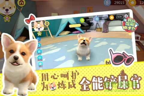 爱奇艺我的萌宠大人vr v1.0.1 安卓版1