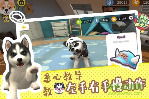 爱奇艺我的萌宠大人vr v1.0.1 安卓版2