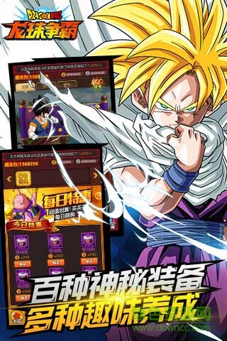 龙珠争霸游戏 v2.0 安卓版2