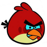 小鸟pt正式版永久免费版