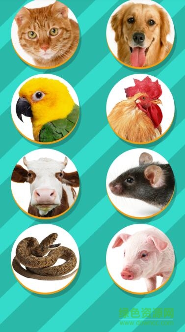 动物语言交流器pet translator v1.1 安卓版0