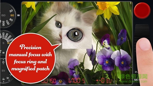 红点相机red dot camera v2.1.1 安卓版0