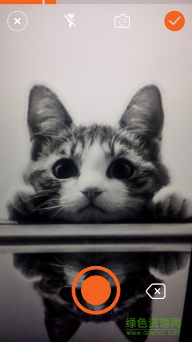 趣云养安卓版 v1.0.2 手机版2