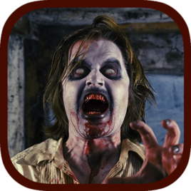 试验z内购正式版