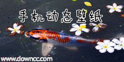 手机动态壁纸有哪些-安卓3d动态壁纸软件-手机动态锁屏壁纸apk下载