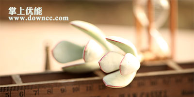 掌上优能教师端下载-掌上优能学生端-掌上优能家长端