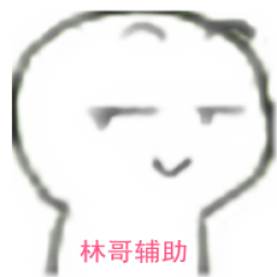 林哥英魂之刃全皮肤全图辅助