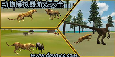 动物模拟器