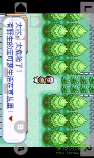 gba口袋妖怪火红自带金手指手机版 v7.01 安卓版2