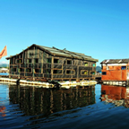 飞通渔排手机客户端