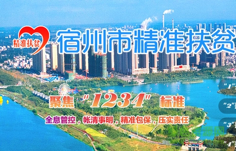 宿州市精准扶贫信息管理平台 v1.2.1 安卓版0