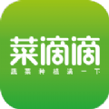 菜滴滴手机版