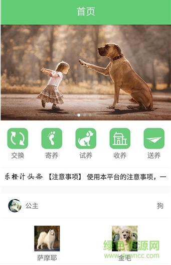 乐橙汁宠物服务 v1.1.0 安卓版2