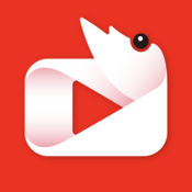 虾看影音手机版