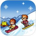 闪亮的滑雪胜地游戏下载