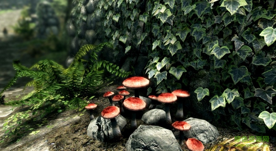 上古卷轴5skse最新版 “上古卷轴5天际脚本扩展工具skse”