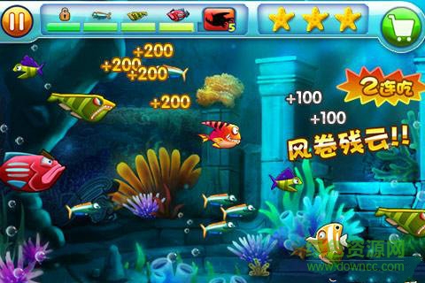 大鱼吃小鱼超级进化版 v6.0 安卓强化版0