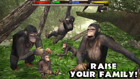 丛林动物模拟器无限生命版(JungleSim) v1.1 安卓中文版1