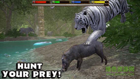 丛林动物模拟器无限生命版(JungleSim) v1.1 安卓中文版0