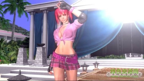 搏击玫瑰xx pc版 0