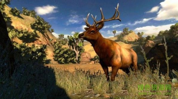 坎贝拉狩猎探险apk v1.0 官网安卓版0