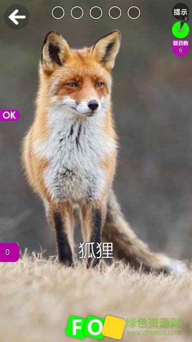 德予miboo英语 v1.6 安卓版2