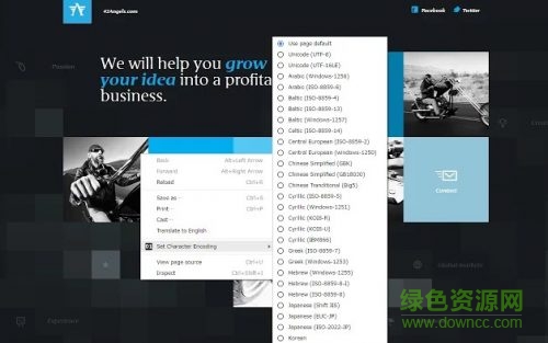 新版chrome浏览器字体编码插件 v0.3.0 官网版0