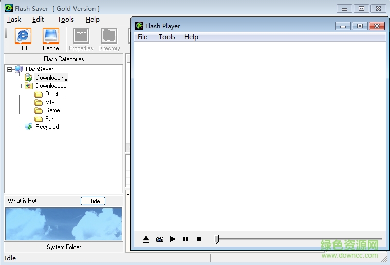 Flash Saver(Flash动画保存工具) v6.3.0.0 黄金版2