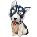 阿狸狗破戒大师(AleegoCrackMaster)