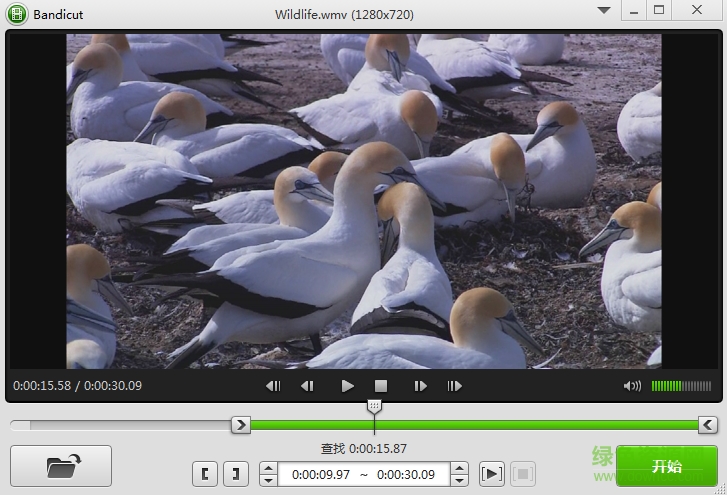 bandicut 正式 Bandicut注册机注册码正式版