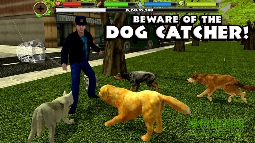 流浪狗模拟器中文版(Stray Dog Sim) v1.4 安卓版1