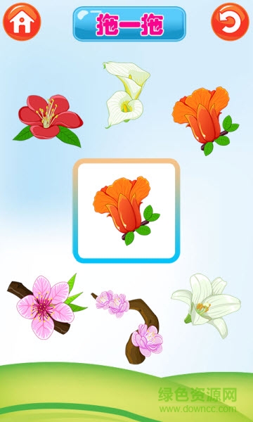 巴宾兔宝宝识植物 v6.6.0 安卓版0