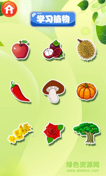 巴宾兔宝宝识植物 v6.6.0 安卓版1