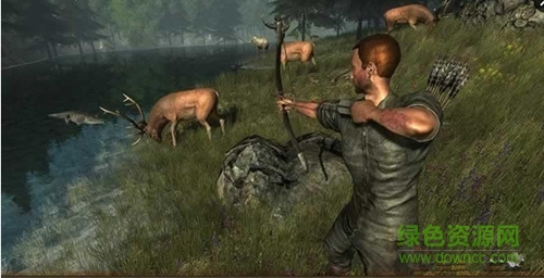 亚马逊丛林游戏