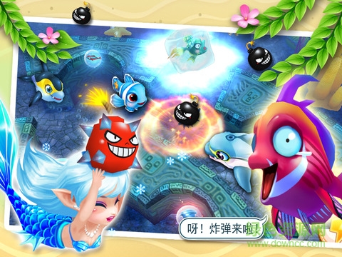 大鱼吃小鱼ol乐乐鱼聚会豪华版 大鱼吃小鱼ol乐乐鱼聚会豪华版