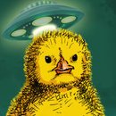 小鸡们的大冒险中文版(Kokeko)