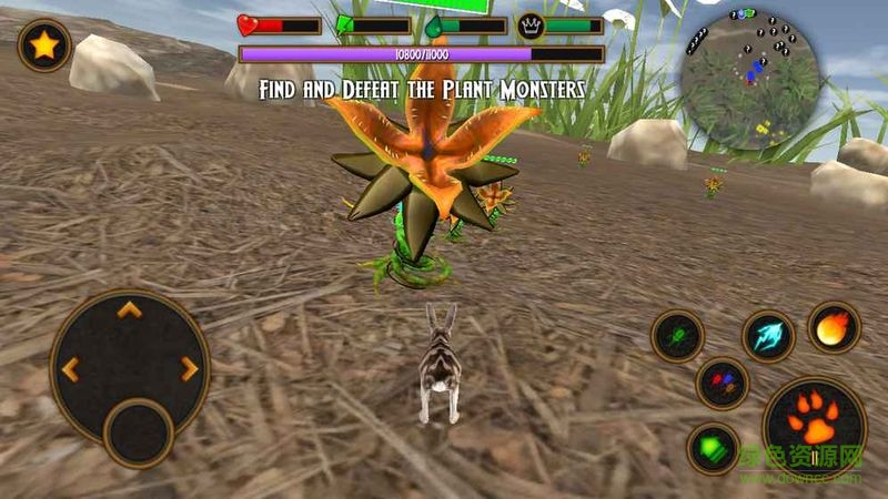 兔子模拟器(Clan of Rabbits) v1.0 安卓版2