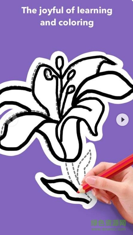 学画花朵简笔画 v1.0.3 安卓版0