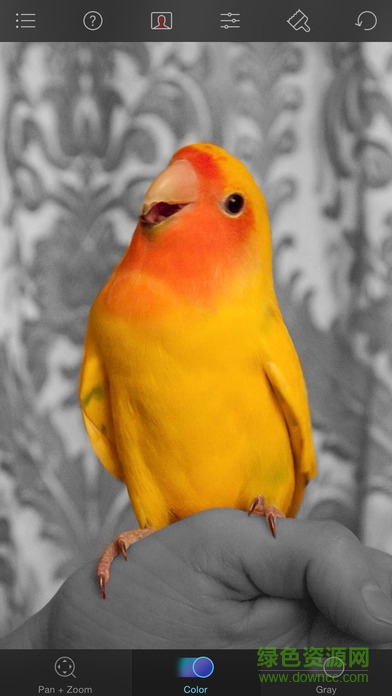 color splash photo v1.68 安卓版3