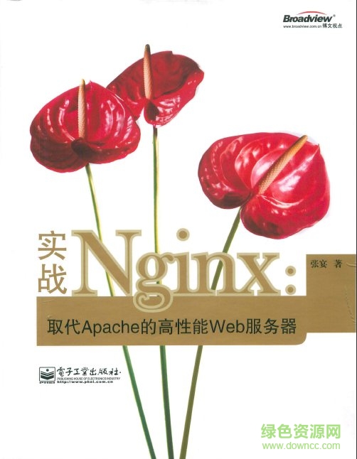 实战nginx pdf 0