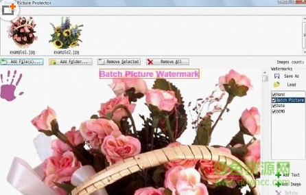 Batch Picture Protector(图片批量加水印软件) v6.5 中文版0
