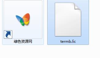 termb.lic下载