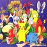 口袋妖怪金银中文版