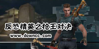 反恐精英之枪王对决