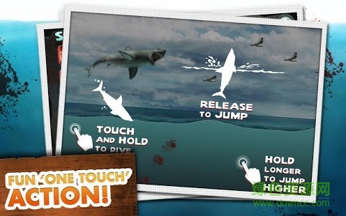 复仇大白鲨无限钻石